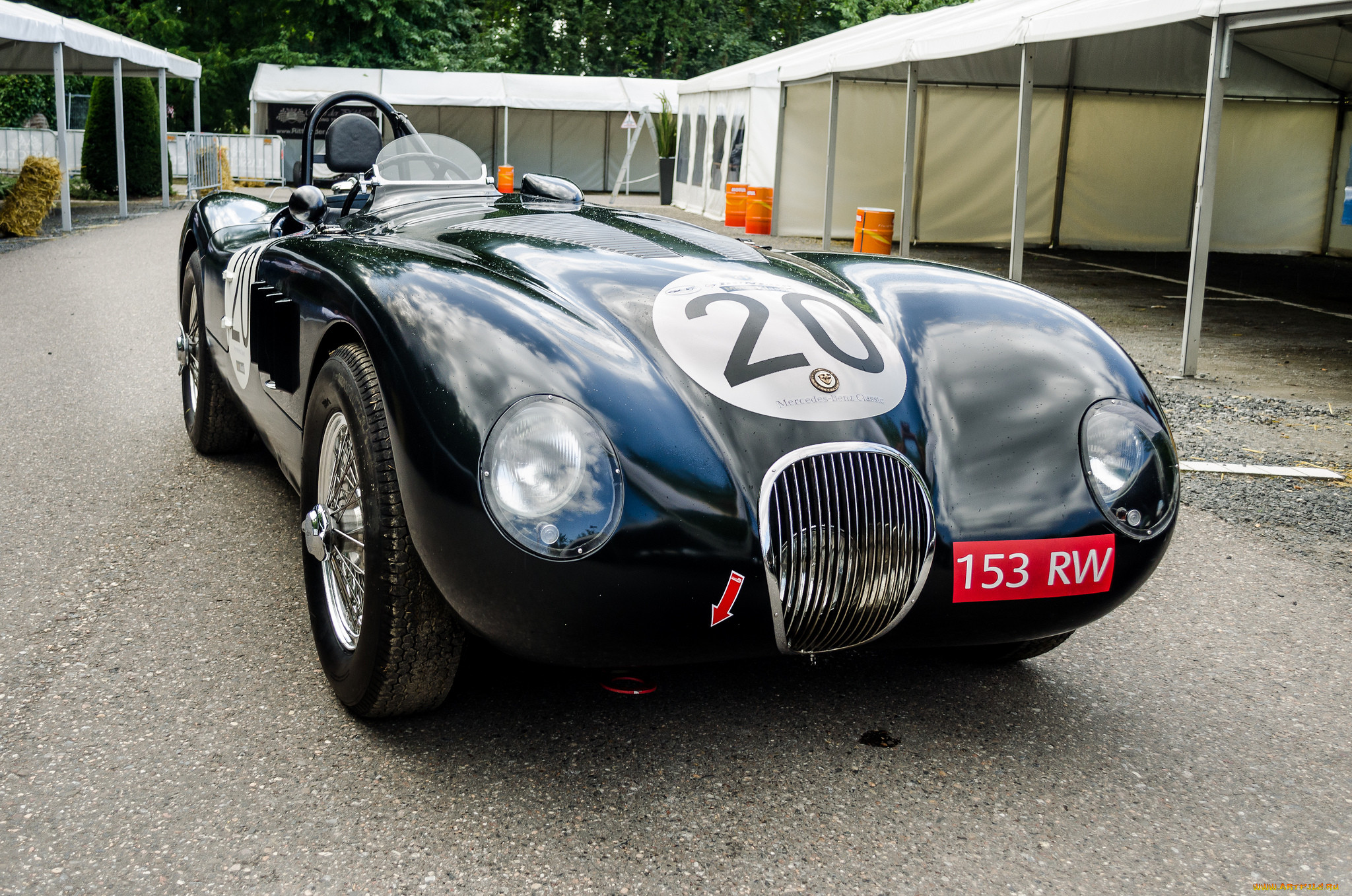 jaguar c-type 1953 le mans winner, ,    , , , , 